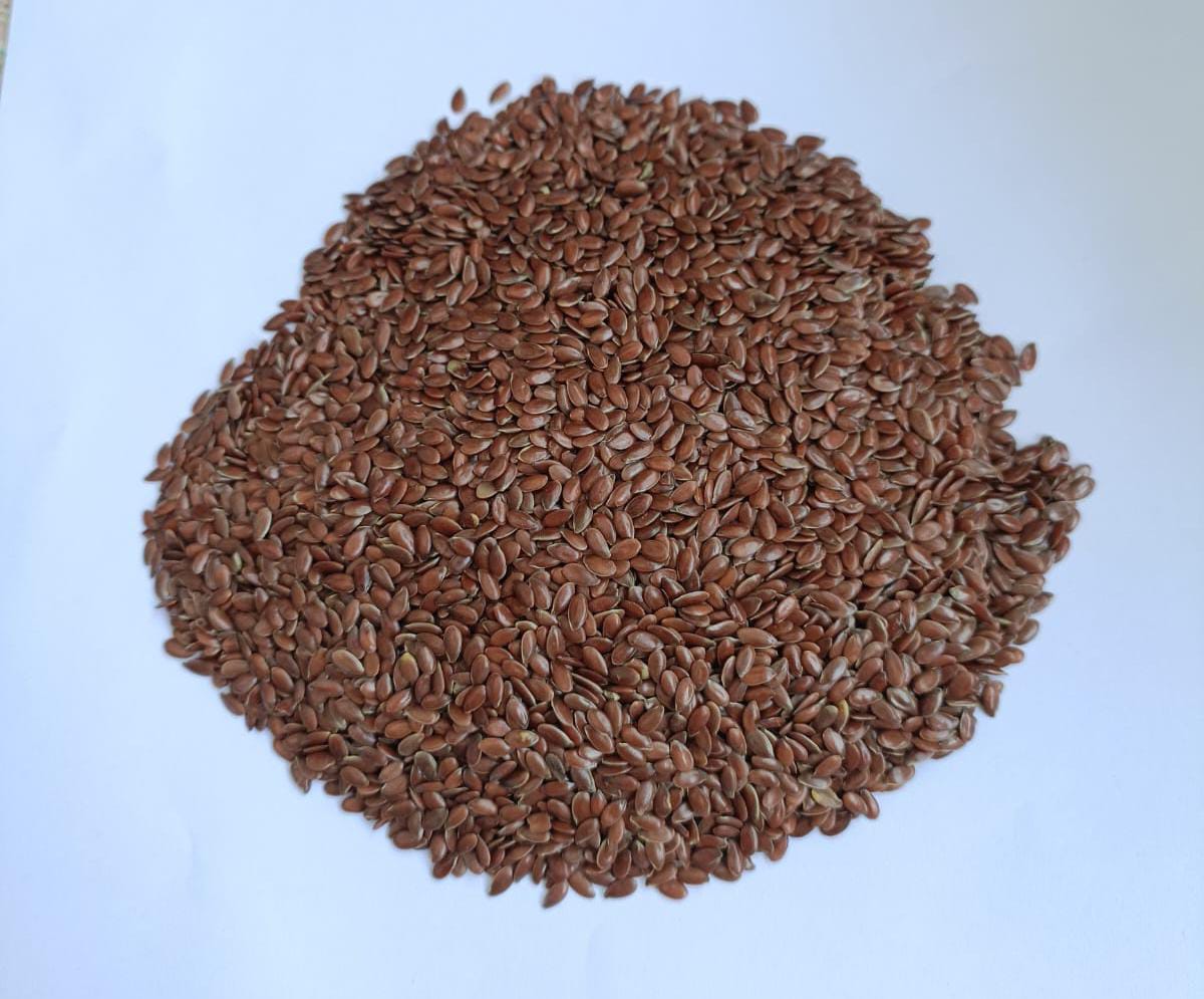 Brown flax seeds