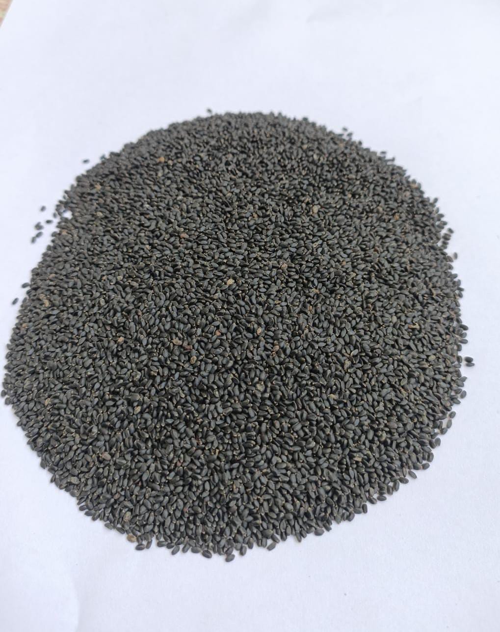 Stevia Leaves Powder