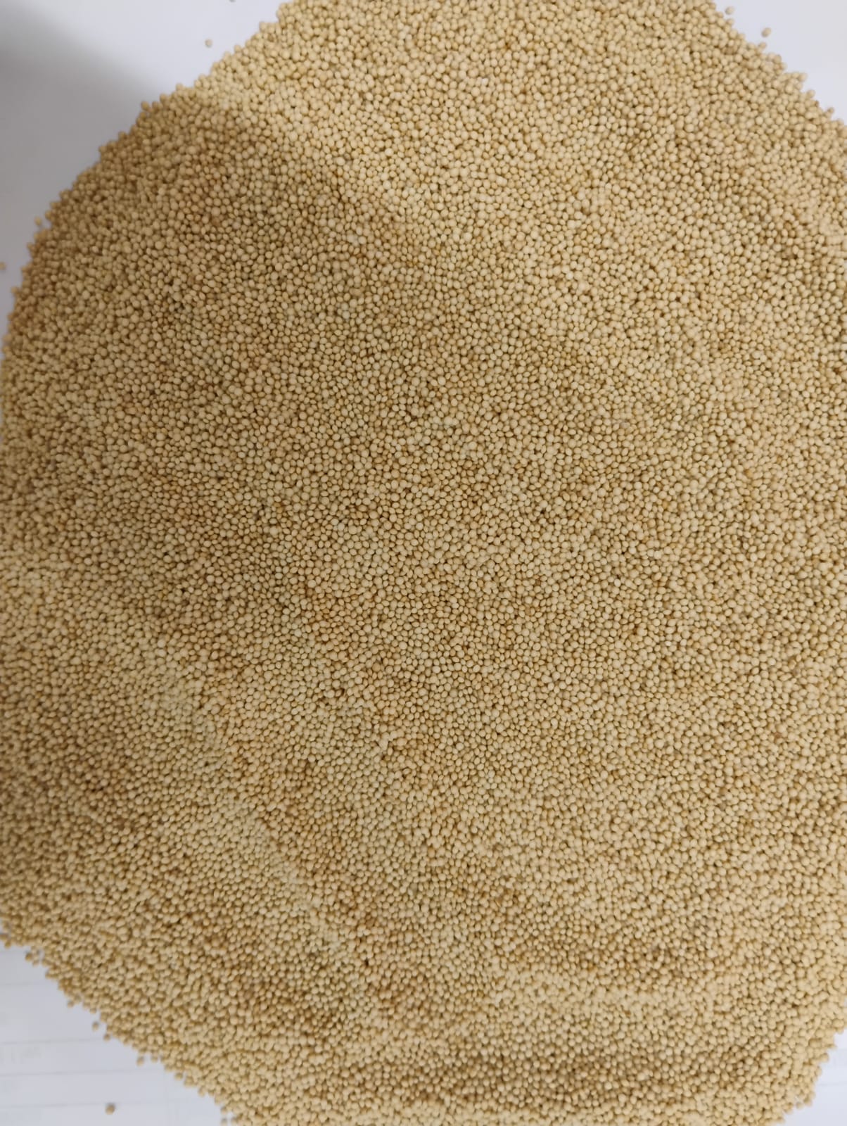 Amaranth seeds
